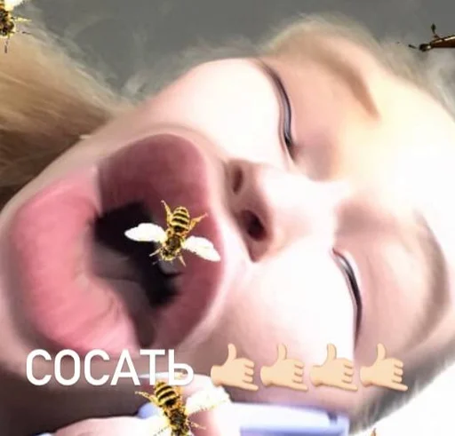 Sticker Мояишкины() - 9