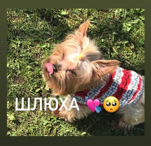 Sticker Мояишкины() - 4