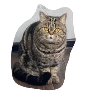 Sticker МамбаЧат - 9