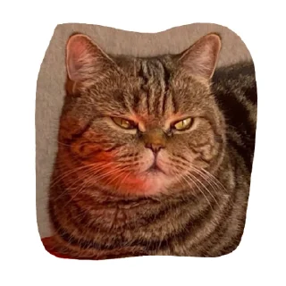 Sticker МамбаЧат - 8