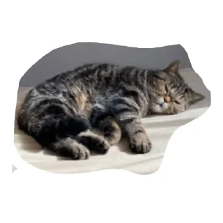 Sticker МамбаЧат - 7