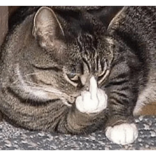 Sticker Mambich2 - 1