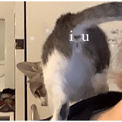 Sticker Mambich2 - 1