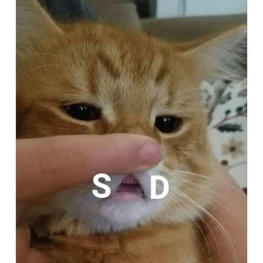 Стикер Mambich2 - 1