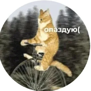 Стикер Мами - 6