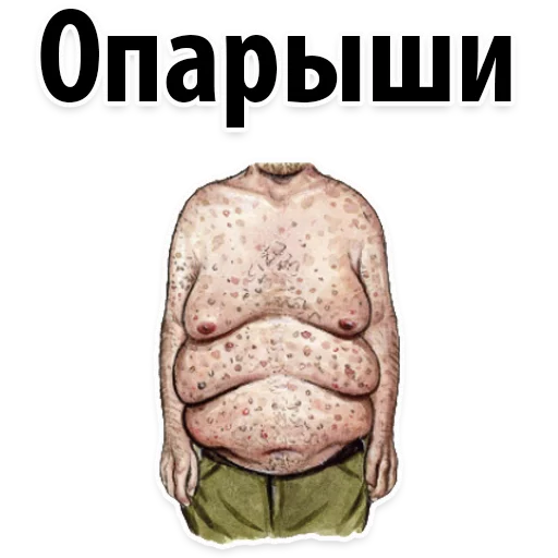 Sticker 🐷 Типы Мужских Сисек @TuristasTV - 5