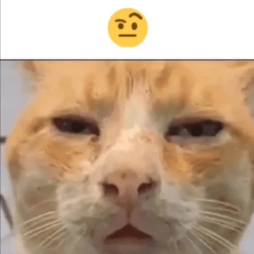 Стикер ×КринжСтикеры× - 9