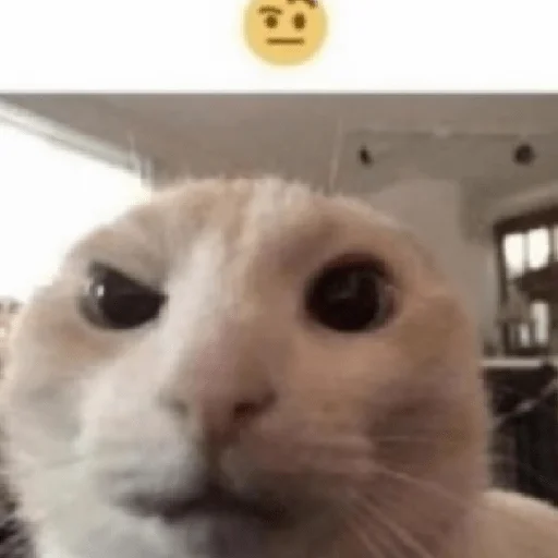 Стикер ×КринжСтикеры× - 6