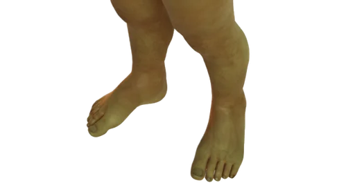 Ноги ступни палец ноги