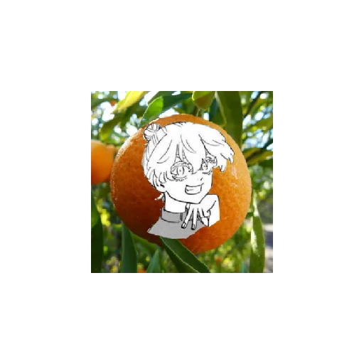 МандаринкиТМ - 