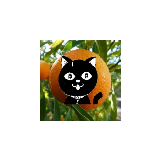 Sticker MandarinkiTM - 1