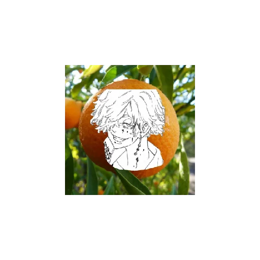 Стикер MandarinkiTM - 1