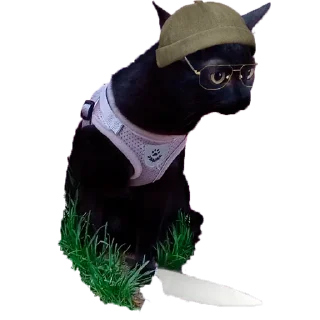 Sticker Maniac|G - 0