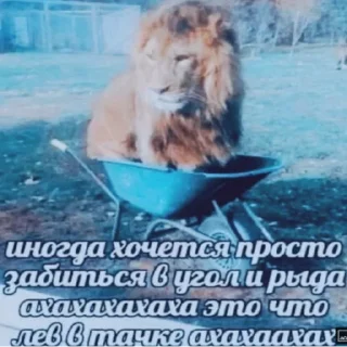 Стикер Стики без смысла💀💥 - 6