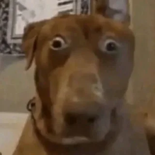 Стикер Стики без смысла💀💥 - 1