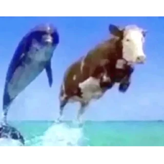 Стикер Стики без смысла💀💥 - 0