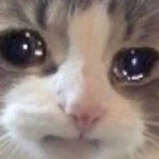 Стикер @Manish_5198 Pack - 8