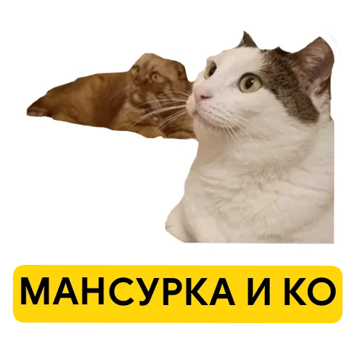 Мансурка - 