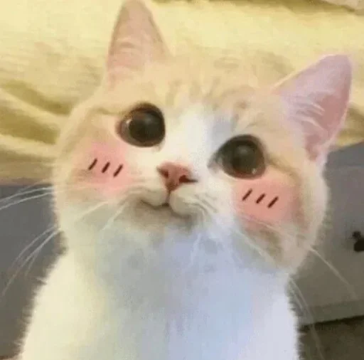 Стикер pussy juice pussy musi :: @fStikBot - 10