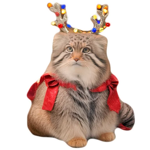 Sticker ManulWinter - 1