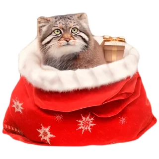 Sticker Winter Manul @animalplantspb - 3