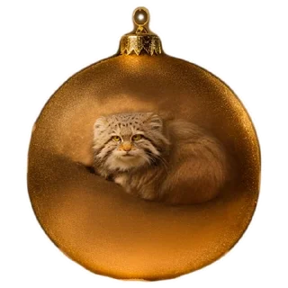 Sticker Winter Manul @animalplantspb - 6