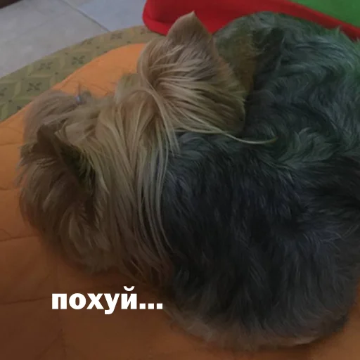 Стикер marsik - 8