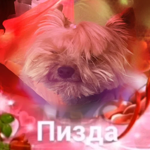 Стикер marsik - 6