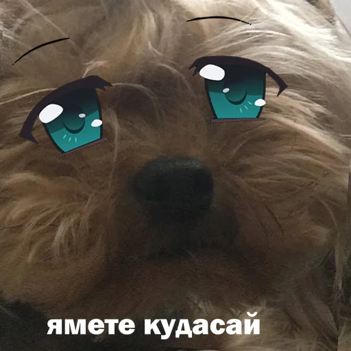 Стикер marsik - 4