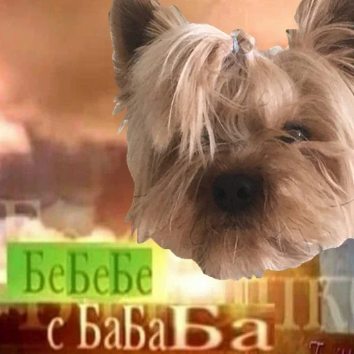 Стикер marsik - 3