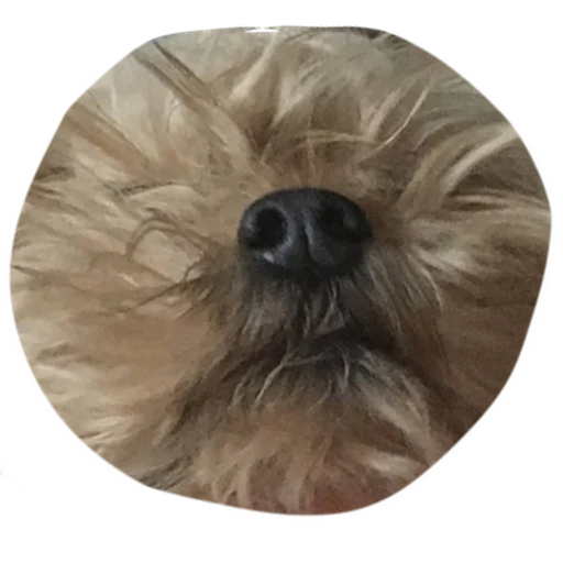 Стикер marsik - 1