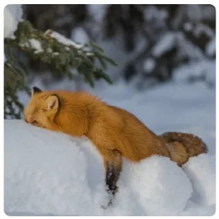 Стикер Marbles Trashpack - 10