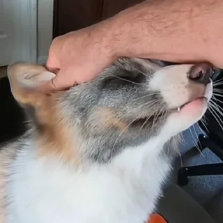 Стикер Marbles Trashpack - 11