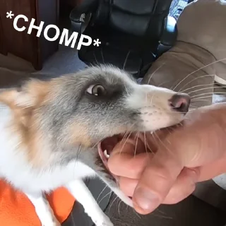 Стикер Marbles Trashpack - 0