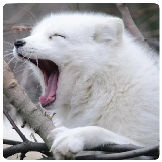 Стикер Marbles Trashpack - 2