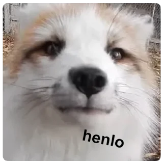 Стикер Marbles Trashpack - 1