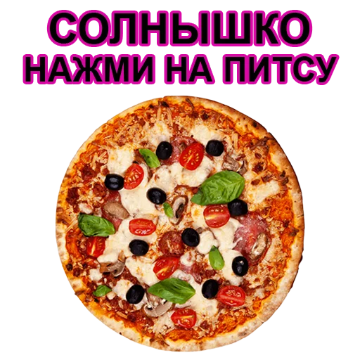 dish pizza food