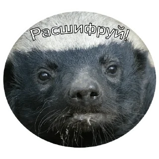 Стикер Беседа с Марго - 4