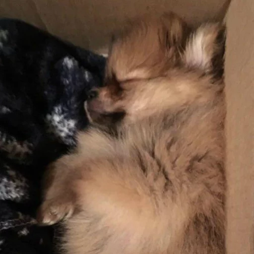 Sticker MariaLuna - 1