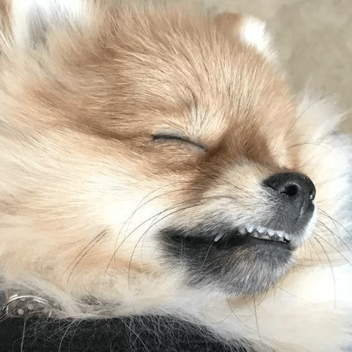 Sticker MariaLuna - 1