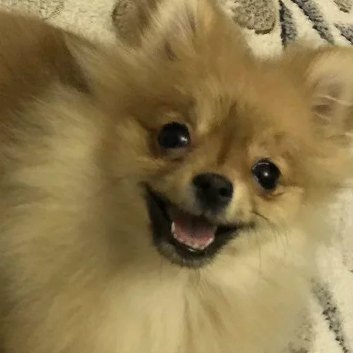 Sticker MariaLuna - 1