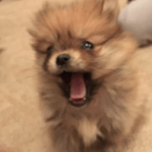 Sticker MariaLuna - 1