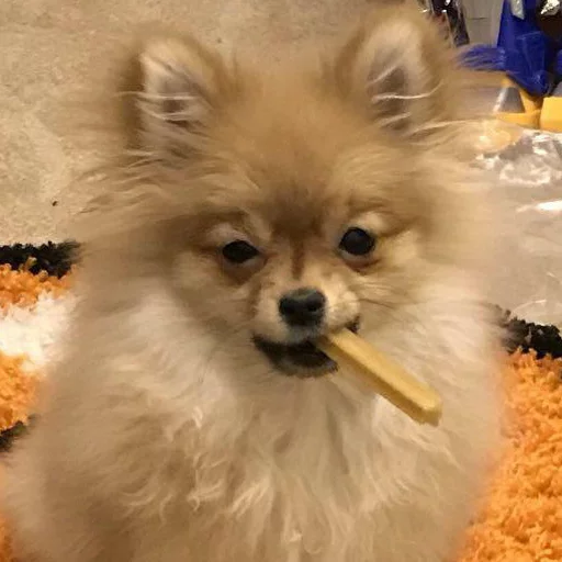 Sticker MariaLuna - 1