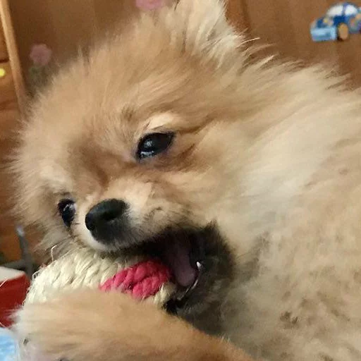 Sticker MariaLuna - 1