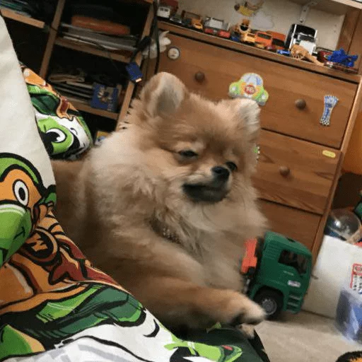 Sticker MariaLuna - 1