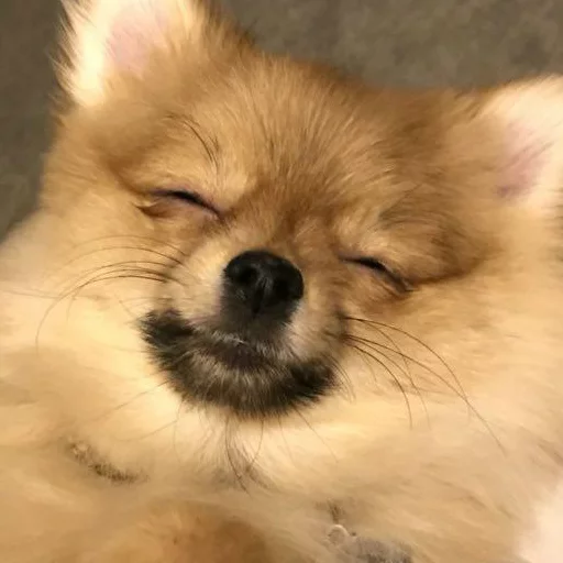 Sticker MariaLuna - 1