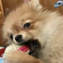 Стикер Luna - 7