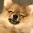 Стикер Luna - 0