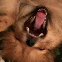 Стикер Luna - 8