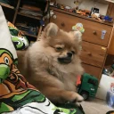 Стикер Luna - 6